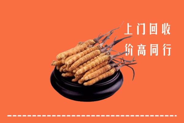 高价求购：沈阳市回收散虫草