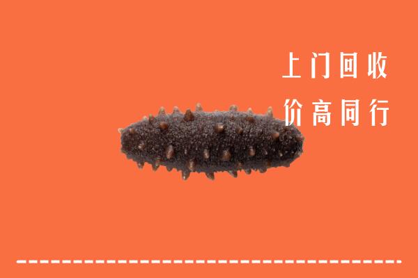 高价求购：沈阳市回收海参