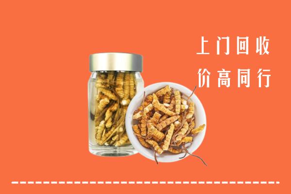 沈阳市回收冬虫夏草